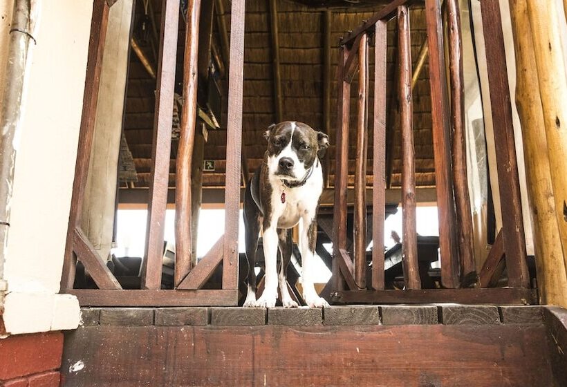 בית מלון כפרי Blue Ocean Dive Resort