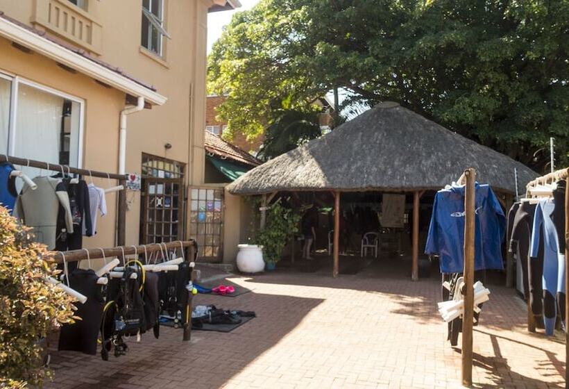 בית מלון כפרי Blue Ocean Dive Resort