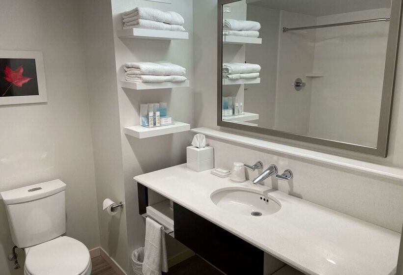 בית מלון כפרי Chateau Fredericton, Trademark Collection By Wyndham