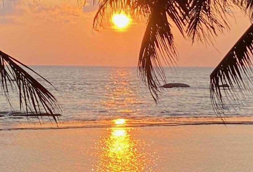 酒店 Coconut Bar Sea Lodge