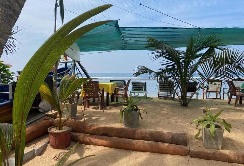 酒店 Coconut Bar Sea Lodge