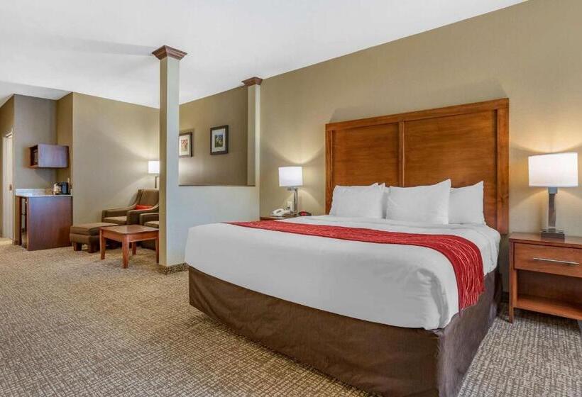 هتل Comfort Inn & Suites Near Mt. Rushmore