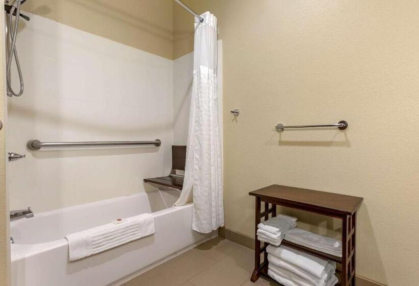 בית מלון כפרי Comfort Inn & Suites Near Mt. Rushmore