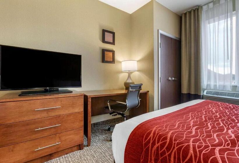 هتل Comfort Inn & Suites Near Mt. Rushmore