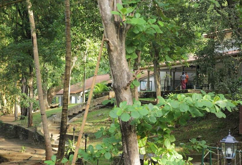 Отель Dambulu Oya Family Park
