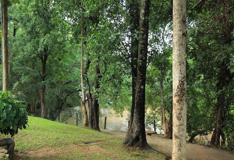 Отель Dambulu Oya Family Park