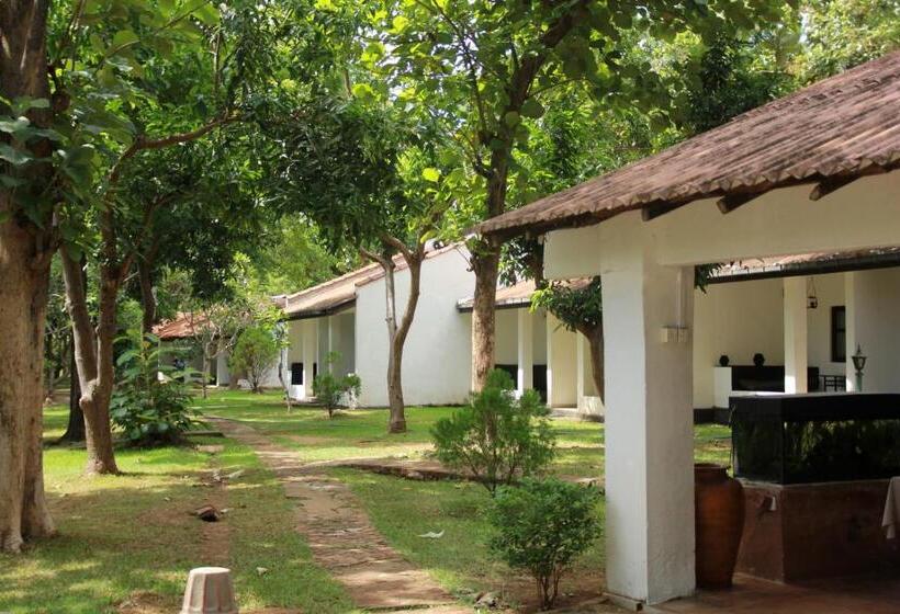 Отель Dambulu Oya Family Park