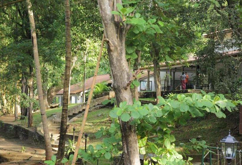 Отель Dambulu Oya Family Park