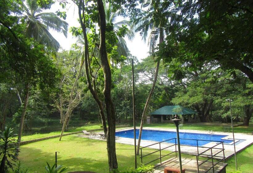 Отель Dambulu Oya Family Park