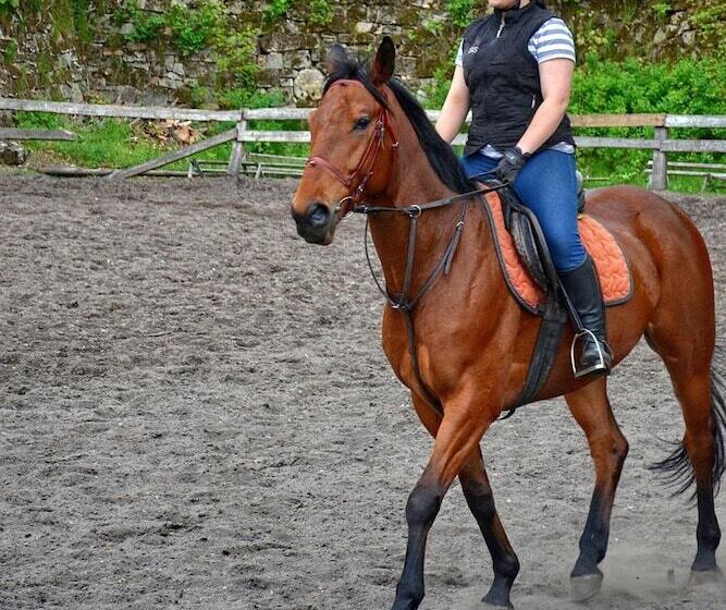 Отель Folwark Książęcy