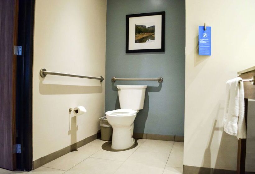 בית מלון כפרי Hampton Inn By Hilton Durango