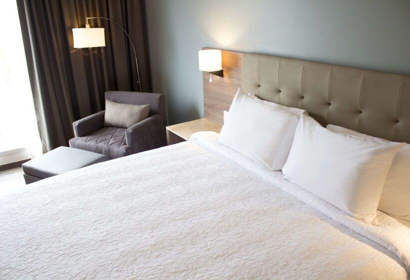 בית מלון כפרי Hampton Inn By Hilton Durango