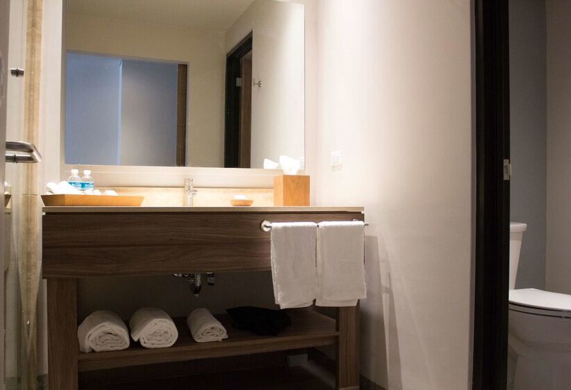 בית מלון כפרי Hampton Inn By Hilton Durango