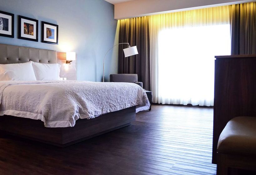 בית מלון כפרי Hampton Inn By Hilton Durango