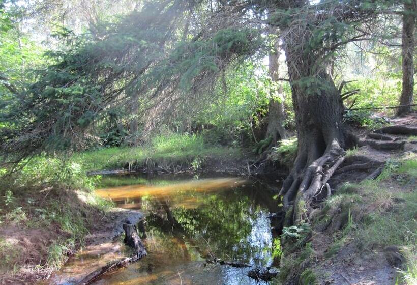 בית מלון כפרי Højgaarden