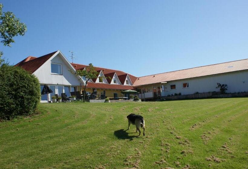 בית מלון כפרי Højgaarden