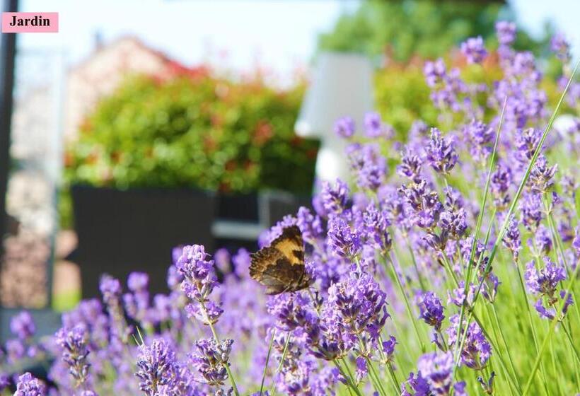 ホテル Hôtel Le Clos Badan