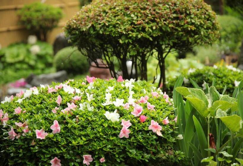 בית מלון כפרי Kashoutei Hanaya