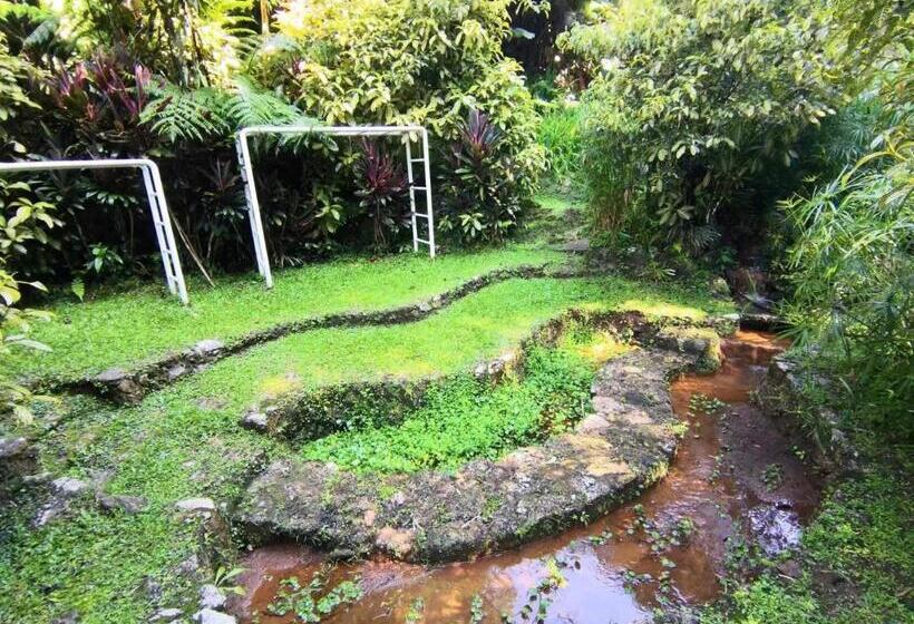 בית מלון כפרי Moonriver Lodge