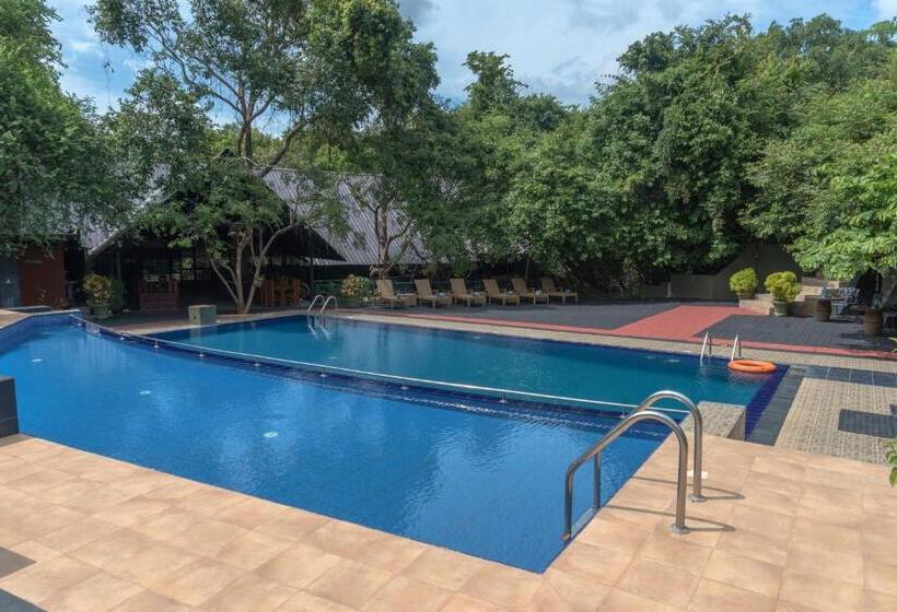 Отель Nice Place Resort