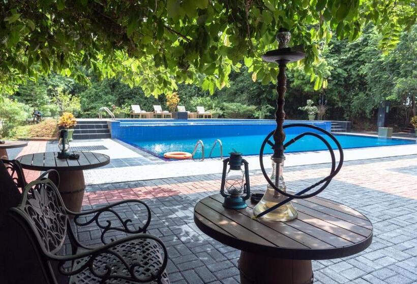 Отель Nice Place Resort