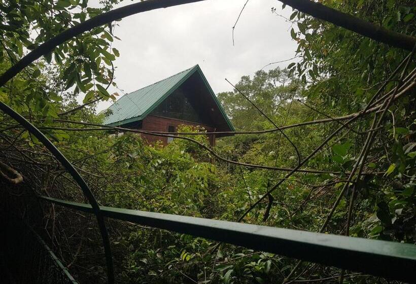 Отель Nice Place Resort