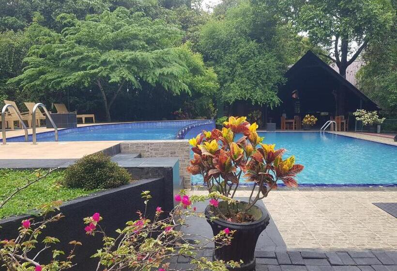 Отель Nice Place Resort