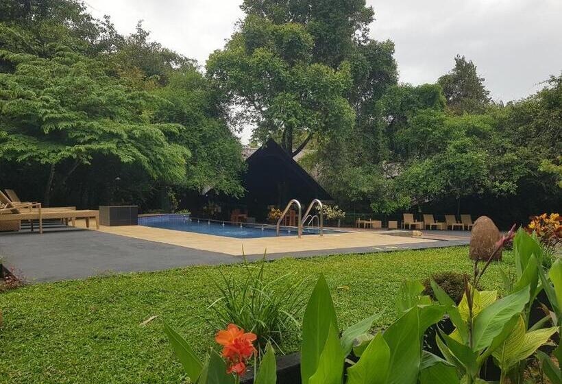 Отель Nice Place Resort