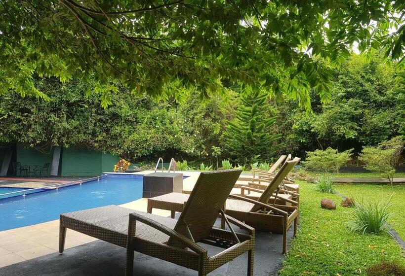 Отель Nice Place Resort