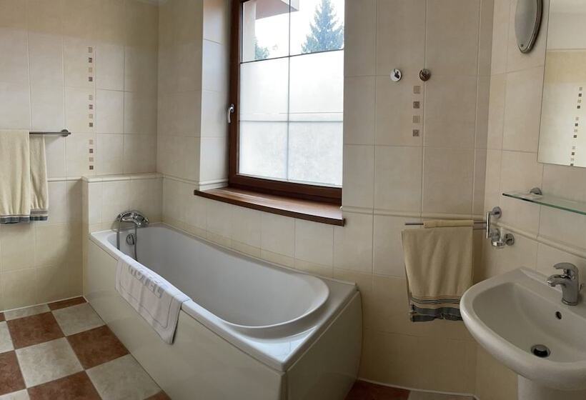 ホテル Ostrov Garni