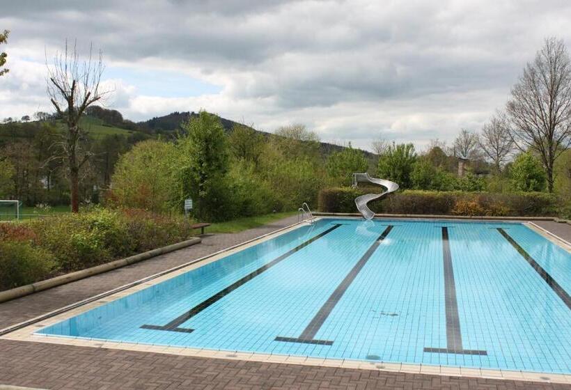 Отель Pension Zur Sonne 24/7