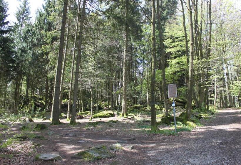 Отель Pension Zur Sonne 24/7