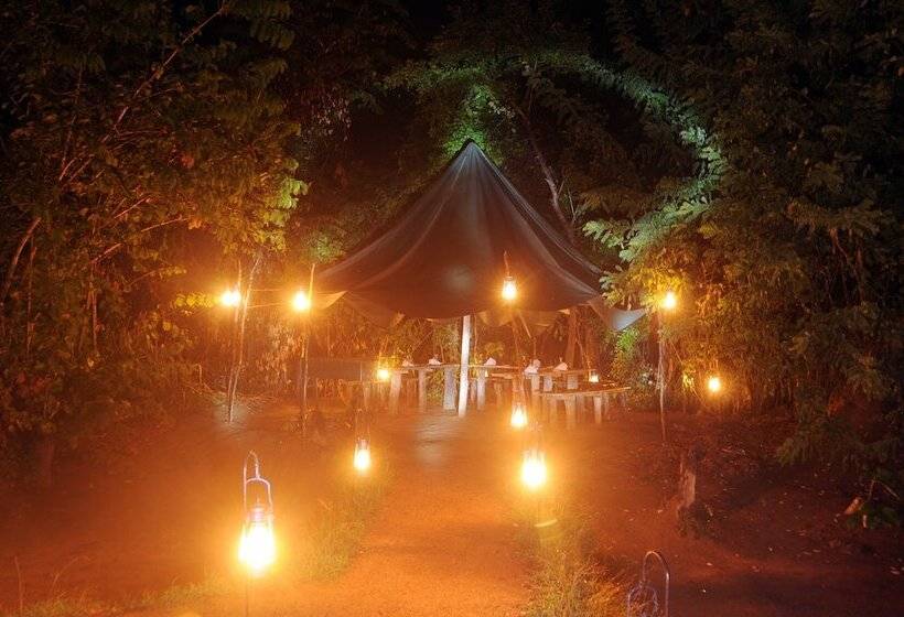 Отель Sigiriya Lodge Hostel