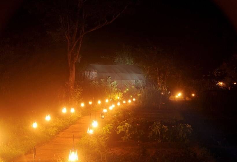 Отель Sigiriya Lodge Hostel