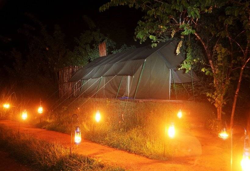 Отель Sigiriya Lodge Hostel