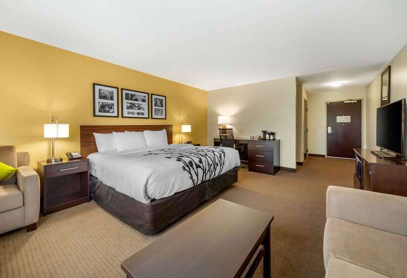 酒店 Sleep Inn & Suites Lincoln University Area