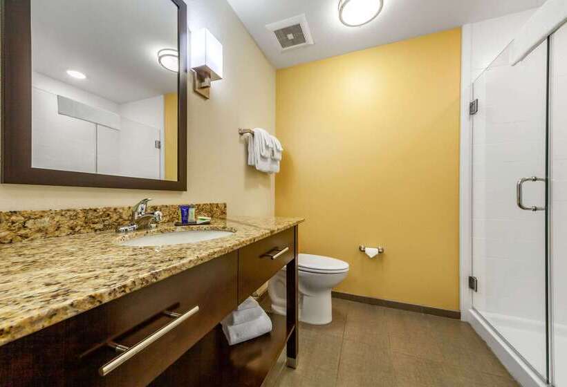 酒店 Sleep Inn & Suites Lincoln University Area