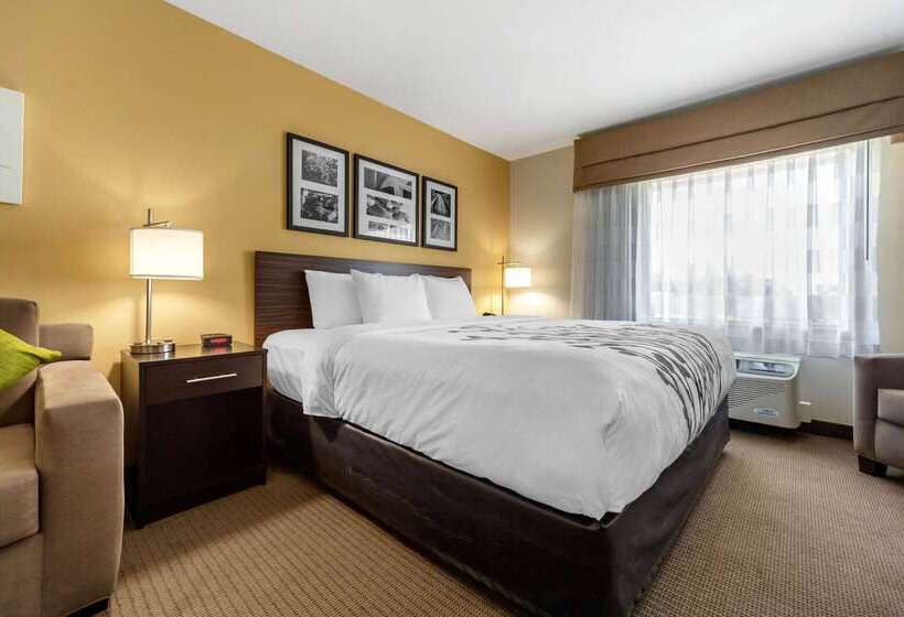 酒店 Sleep Inn & Suites Lincoln University Area