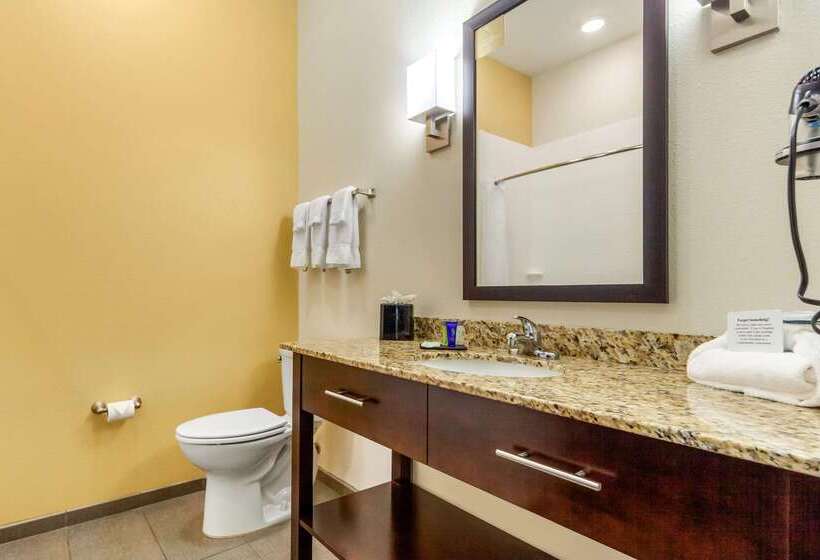 酒店 Sleep Inn & Suites Lincoln University Area