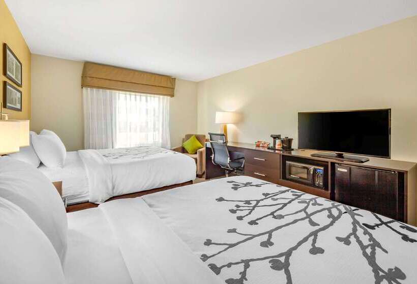 酒店 Sleep Inn & Suites Lincoln University Area