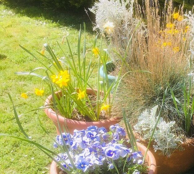 Отель Virginia Court