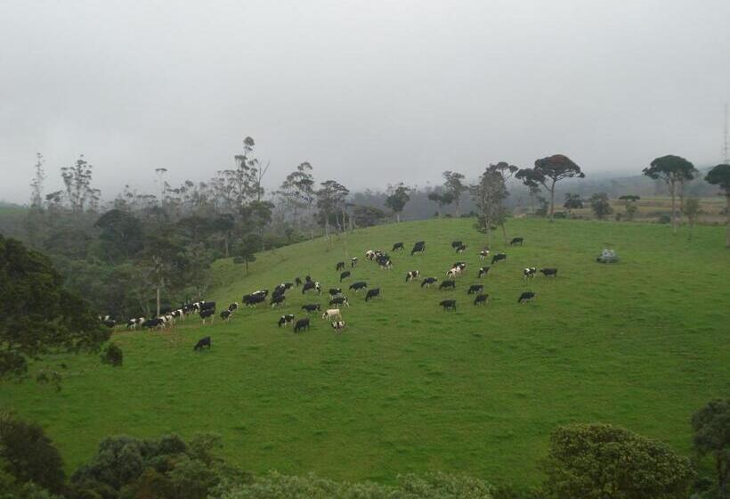 فندق Vishmi S Rest