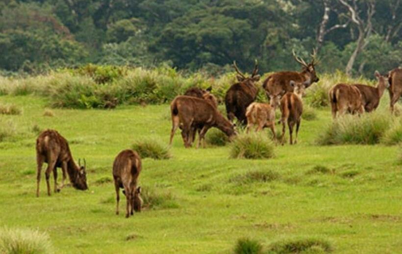 فندق Vishmi S Rest