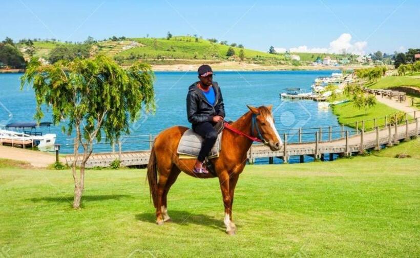 فندق Vishmi S Rest