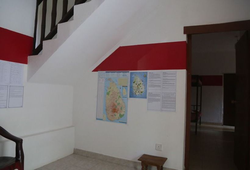 Kandy City Elephant Hostel