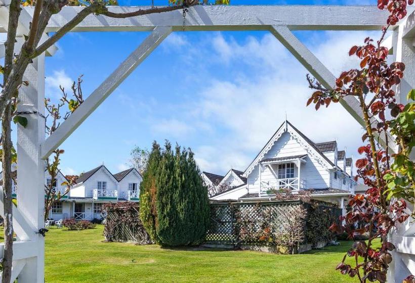 モーテル Phoenix Thermal Resort  Taupo