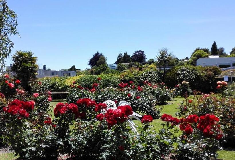 モーテル Phoenix Thermal Resort  Taupo