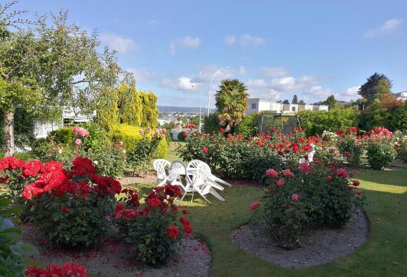 モーテル Phoenix Thermal Resort  Taupo