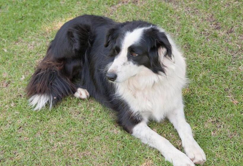 Oue Werf Country House