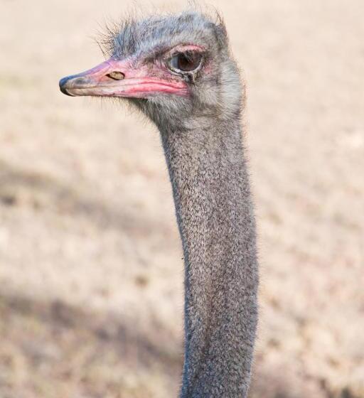 Oue Werf Country House